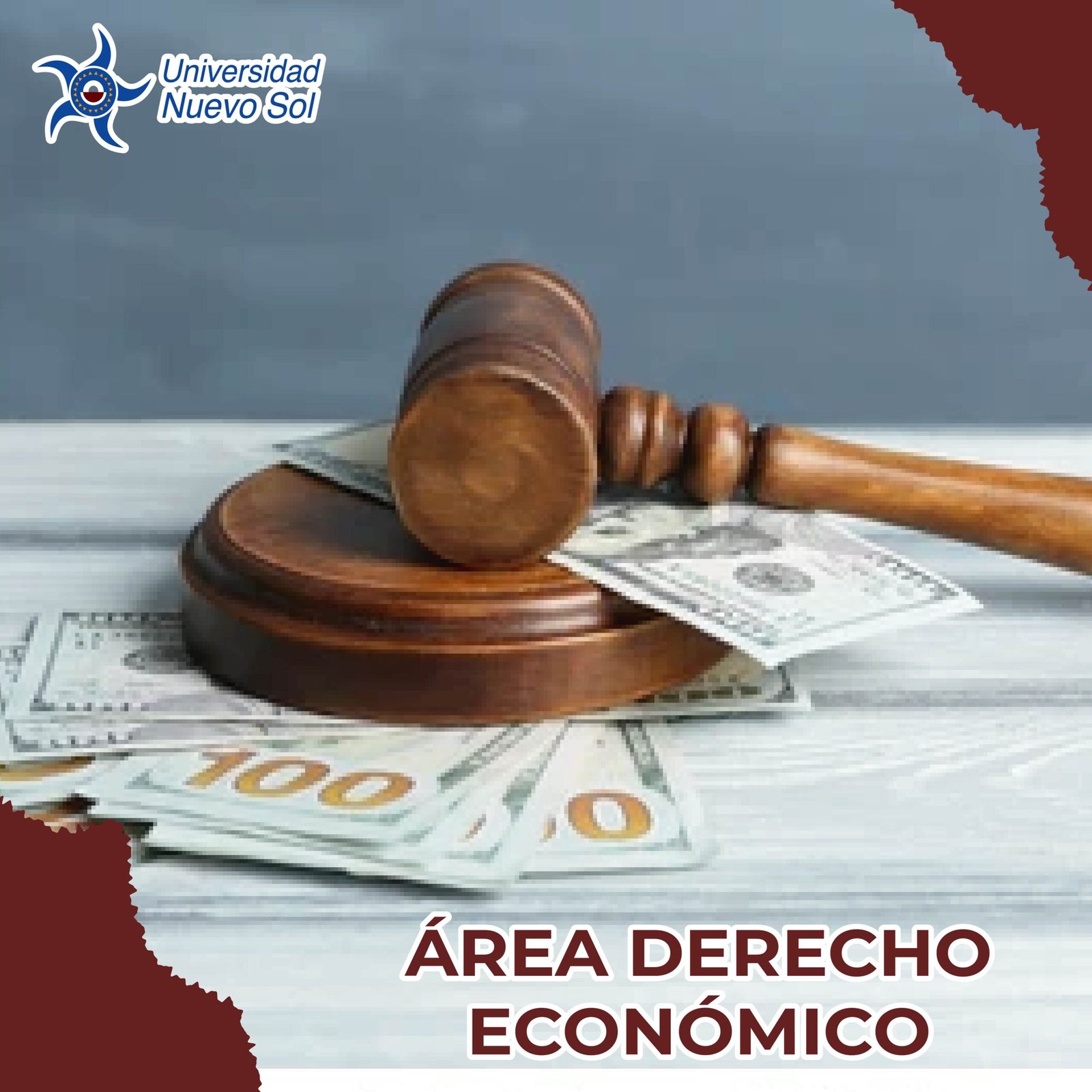 ÁREA DERECHO ECONÓMICO