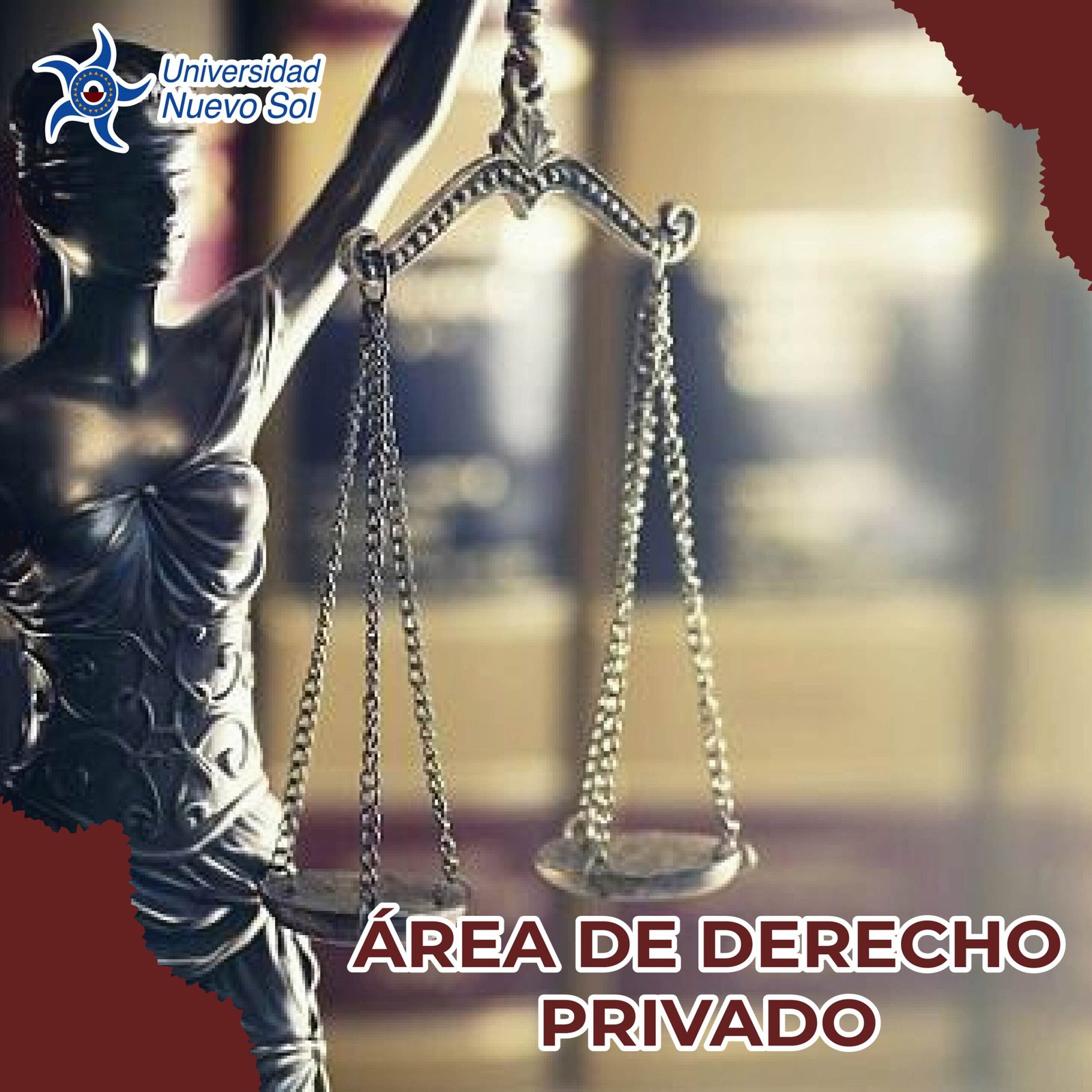 ÁREA DE DERECHO PRIVADO