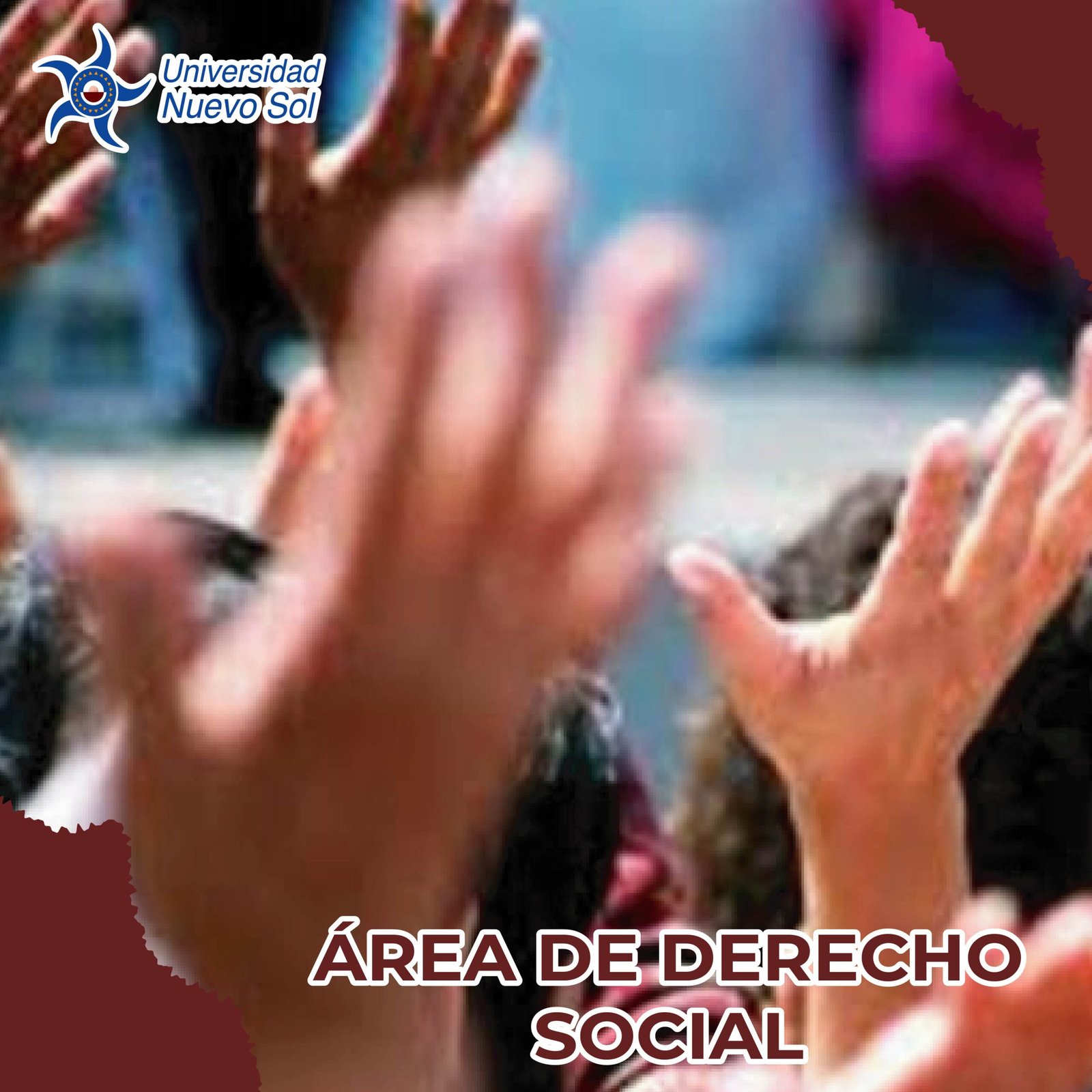 ÁREA DE DERECHO SOCIAL
